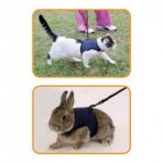 Walk ‘N’ Vest Small Cat Harness and Lead Set